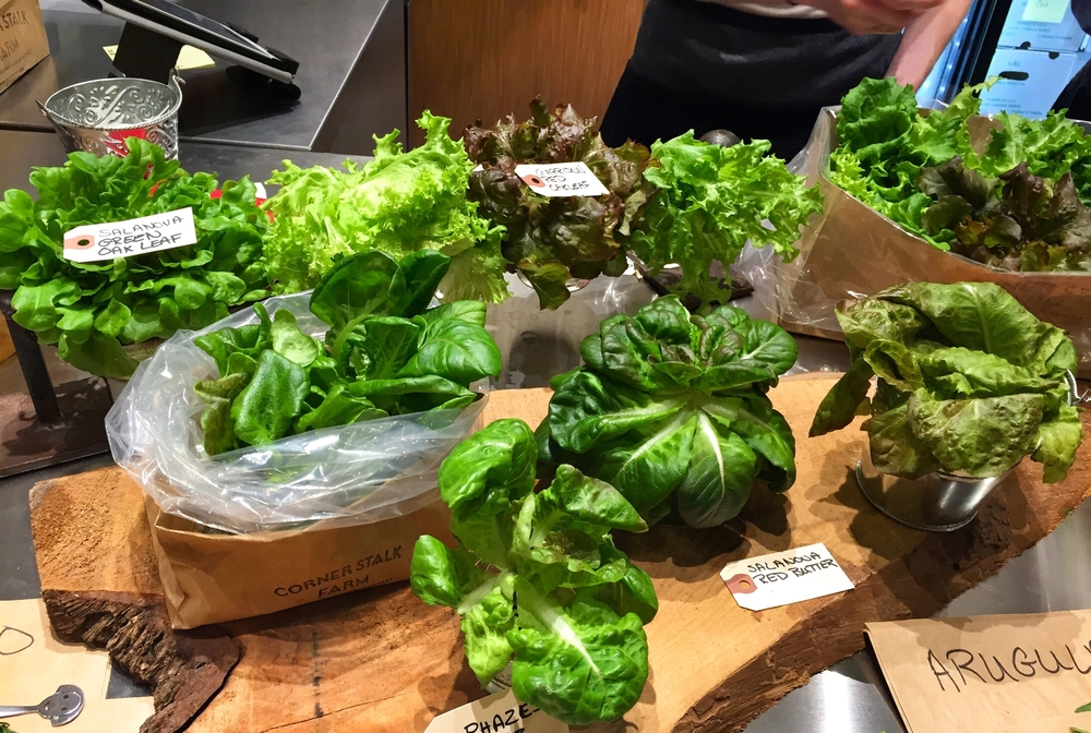 Corner Stalk Farm