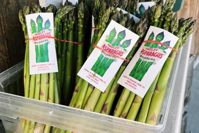 Bosivert Farms Asparagus - 1 lb.