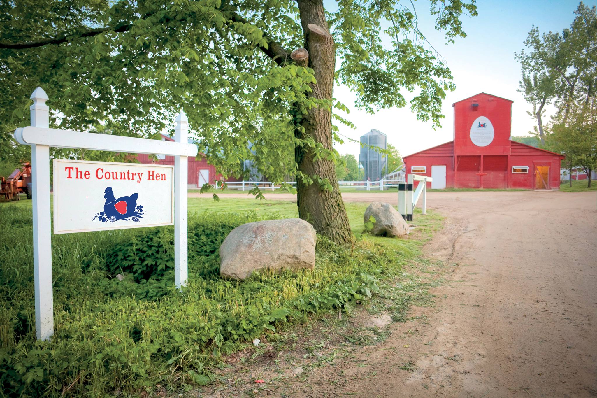 The Country Hen Farm