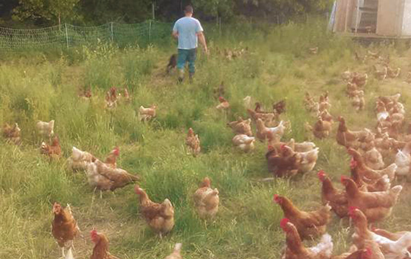 DaSilva Farms