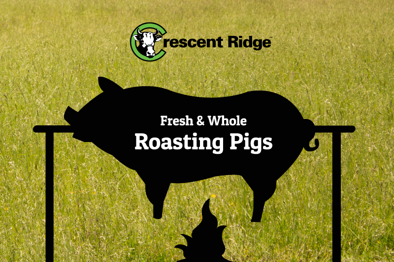 Frozen Whole Roasting Pig