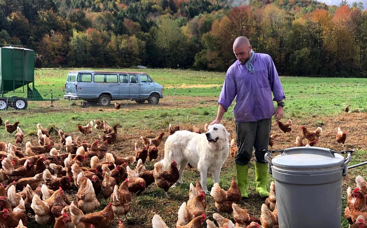 Pasture Pet