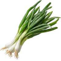 Plainville Farm IPM White Scallions (bunched)