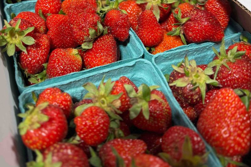 Warner Farm Strawberries - Pint